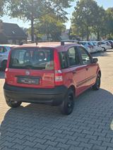 Fiat Panda 1.1 8V Active - Fiat Panda mit Benzin-Antrieb