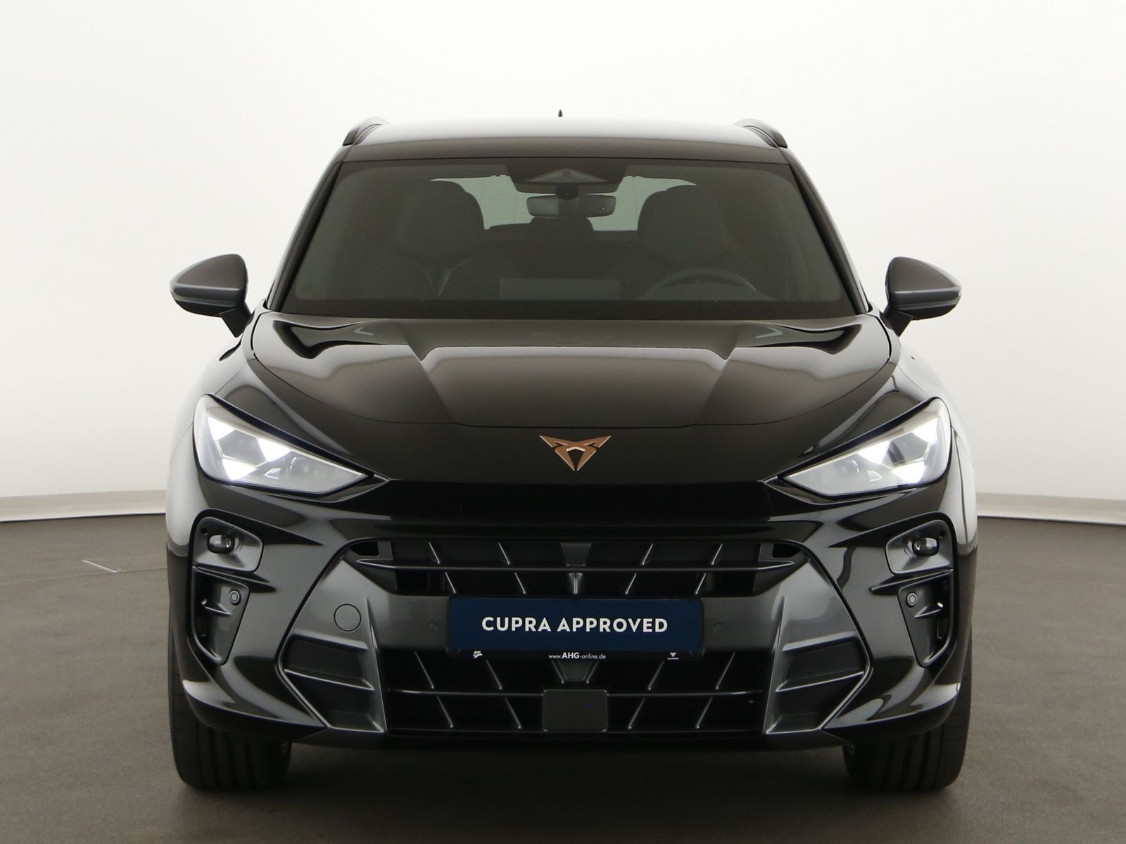 Cupra Terramar - Bild 3