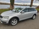 Skoda Octavia Scout 2.0 TSI Allrad - Skoda Octavia Scout mit Benzin-Antrieb
