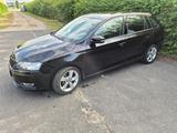 Skoda Rapid 1.4 TDI Cool Edition Spaceback  - Skoda Rapid in Bonn