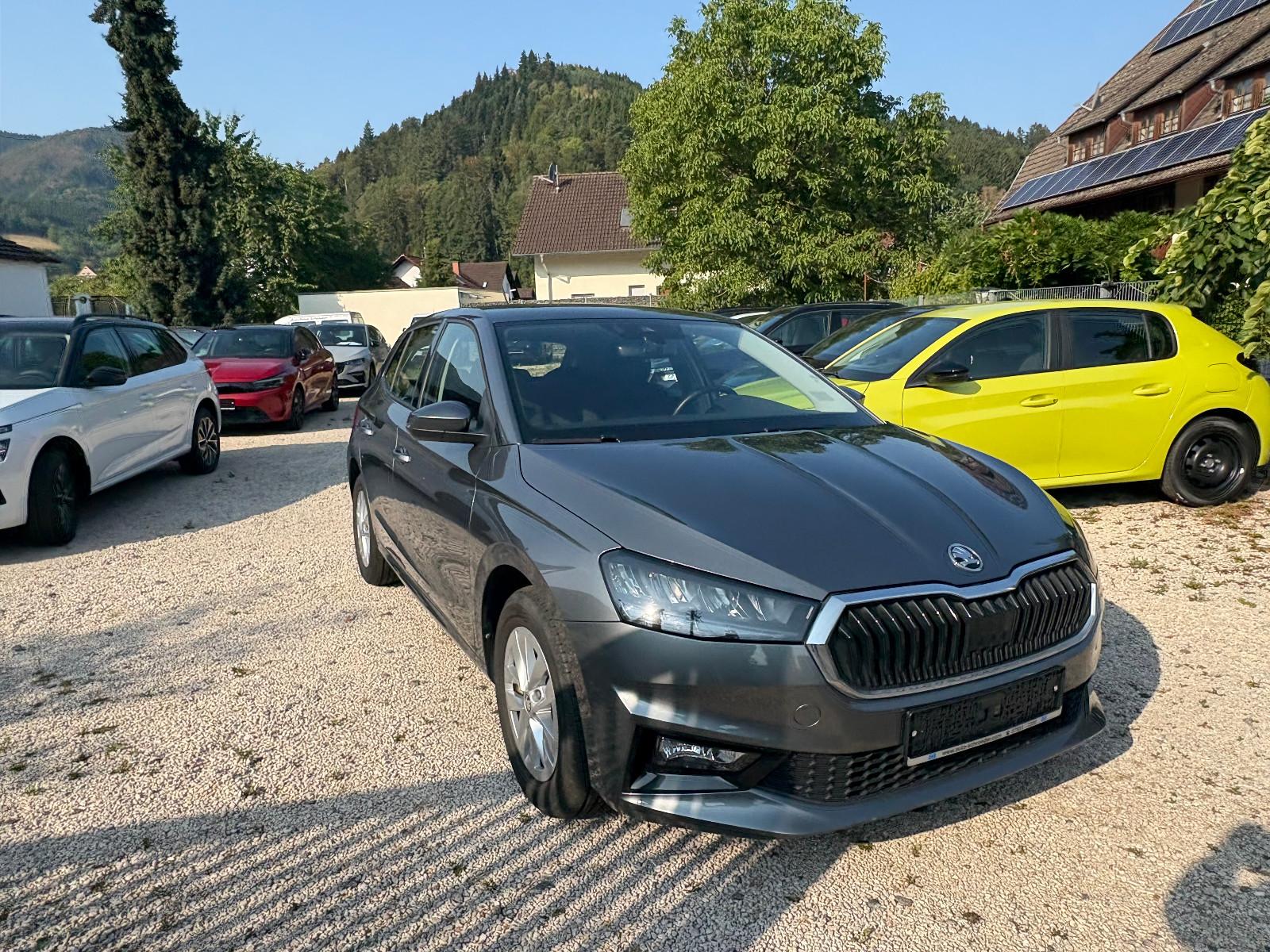 Skoda Fabia Selection PDC,SHZ,LED,ALU,APP
