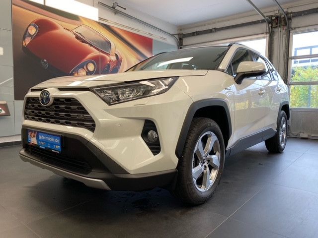 Toyota RAV 4 2.5 L Hybrid 4x2 Team Deutschland