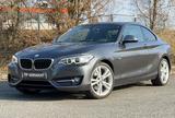 BMW 220 2 Coupe  i Sport Line/M-Paket/Leder/ - BMW 220: Coupe