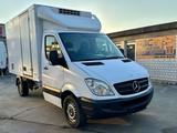 Mercedes-Benz Sprinter 316CDI TK-V500 MAX Kühlung-20* Deutsch - Offers matching your search criteria