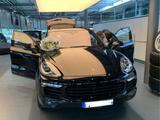 Porsche Cayenne Diesel Platinum Edition - Porsche Cayenne mit Diesel-Antrieb: Sitzbelüftung