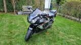 Honda CBR 900 RR Fireblade SC44 - Offers matching your search criteria
