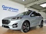 Ford Kuga 1.5 EcoBoost ST-LINE X AGR-Sitze Panorama - Ford Kuga Tageszulassungen