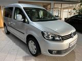 Volkswagen Caddy Maxi Roncalli 2.0TDI Behindertengerecht - Volkswagen Caddy Maxi: 7 Sitzer