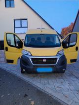 Fiat Ducato 250 Kühltransporter  - Kühltransporter