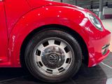 Volkswagen Beetle Lim. Design LED/BiXenon Pano Tempo PDC - Volkswagen Beetle: Rot