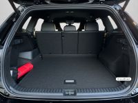 Volkswagen Tayron - Vorschau Bild 16