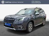 Subaru Forester 2.0ie Comfort MJ24 - Subaru Forester Tageszulassungen
