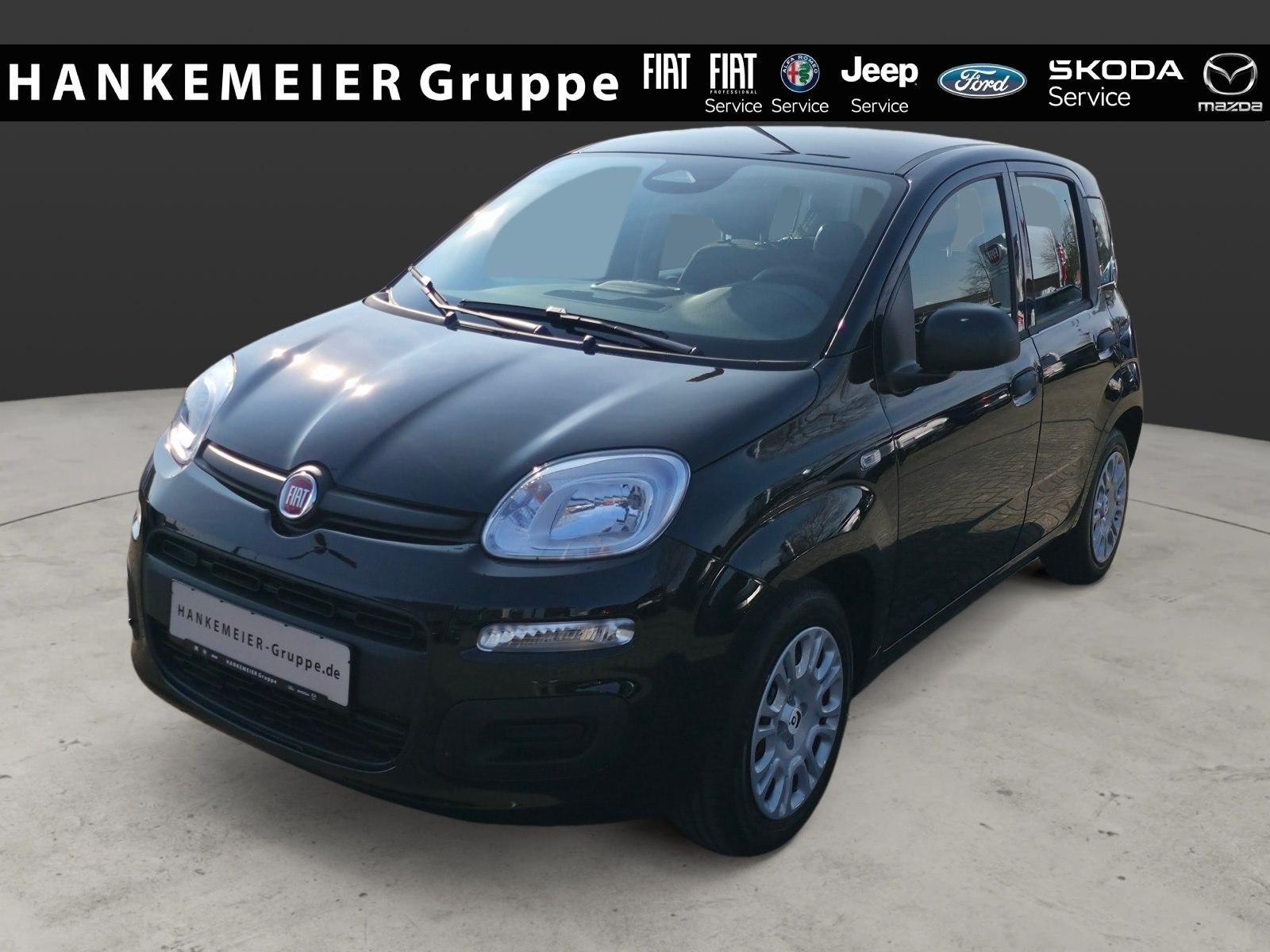 Fiat Panda Pandina ICON 1.0 GSE Hybrid-Klima*Bluetoot