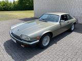 Jaguar XJS V12 / TOP-ZUSTAND ! - Jaguar XJS: Coupe