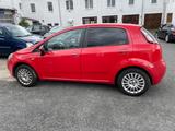 Fiat Punto 1.3 tüv bis 02.2026 - Fiat Punto: 1.3