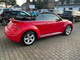 Volkswagen Beetle Cabrio Sport Automatik Xenon Leder 1.Hand - Volkswagen Beetle in Duisburg
