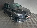 Kia XCeed*PLATINUM EDT*BiLED-PANO-ACC-R.KAM-MEMO-SHZ - Kia XCeed SUV
