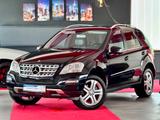 Mercedes-Benz ML 350CDI 4Matic Sportpaket BiXenon Comand - Mercedes-Benz ML-Class