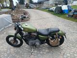 Harley-Davidson Sportster XL1200N - HARLEY-DAVIDSON XL 1200 N
