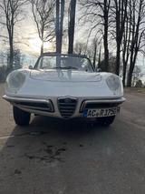 Alfa Romeo Spider Duetto Rundheck 1967 - Alfa Romeo Spider: Rundheck