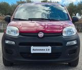 Fiat Panda 1.3 MJT S&S Pop Van 2 posti - Fiat Panda POP mit Diesel-Antrieb