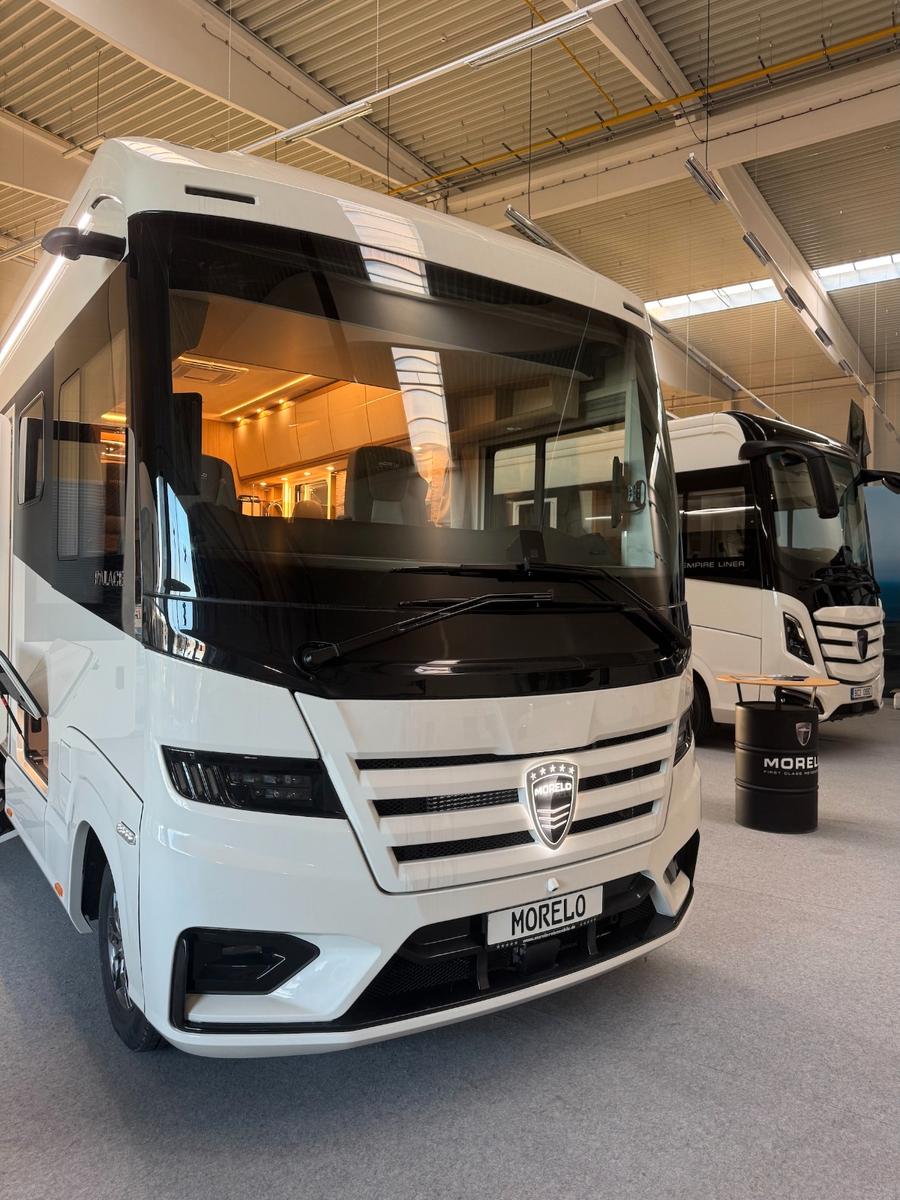 Morelo PALACE 88 LB - MJ 2026