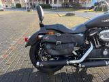 Harley-Davidson XL 1200 CB SPORTSTER CUSTOM LIMITED - HARLEY-DAVIDSON SPORTSTER XL 1200CB