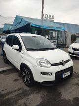 Fiat Panda 1.0 FireFly S&S Hybrid Sport - Fiat Panda Sport mit Hybrid-Antrieb (Benzin/Elektro)