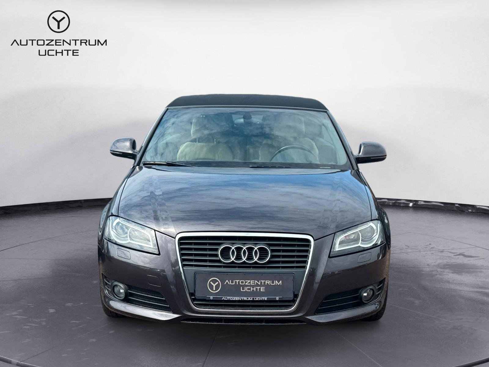 Audi A3 Cabriolet Ambition/LEDER/NAVI/BOSE/XENON/