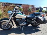 Honda Shadow - Offers matching your search criteria