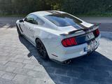Ford Shelby GT 350 Fastback - Ford Mustang: Shelby Gt350