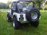 Jeep CJ5, AMC 390, 6.4 liters, einzigartige Jeep-Show - Jeep: Amc