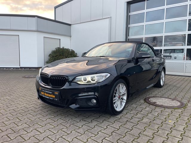 BMW 218 Baureihe 2 Cabrio 218 i M Sport