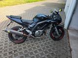 Suzuki SV650 S bj. 2006 (A2 tauglich) - SUZUKI SV 650 A