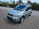 Fiat Panda 1.2 8V Climbing 4X4 - Fiat Panda: Climbing
