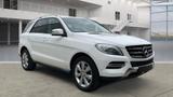 Mercedes-Benz ML 250 AMBIENTE*COMAND*Bi-XENON*R-KAM*SCHIEBEDAC - Mercedes-Benz ML 250 mit Diesel-Antrieb