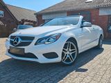 Mercedes-Benz E 400 Cabrio/Navi/Leder/ - Mercedes-Benz: Cab