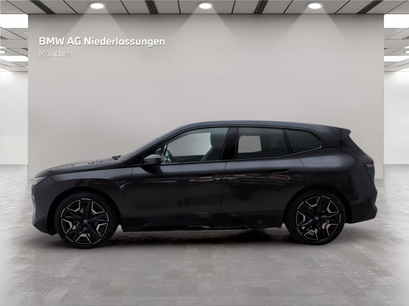 BMW iX xDrive40 AHK Driv.Assist.Prof Harman K Laser foto 2