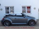 Volkswagen Beetle 1.4TSI DSG Sound Plus Leder Kamera Fender - Volkswagen Beetle: Fender