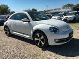 Volkswagen Beetle Lim. Cup SHZ TEMPOMAT PDC SHZ - Volkswagen Beetle in Bonn