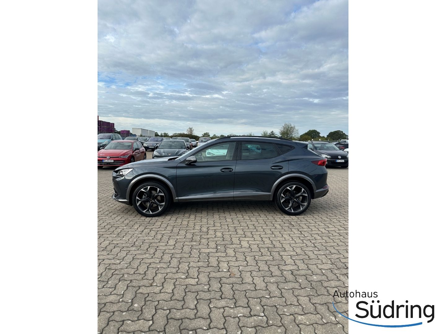 Formentor 1,5 TSI DSG AHK Navi ACC El.Heckklappe