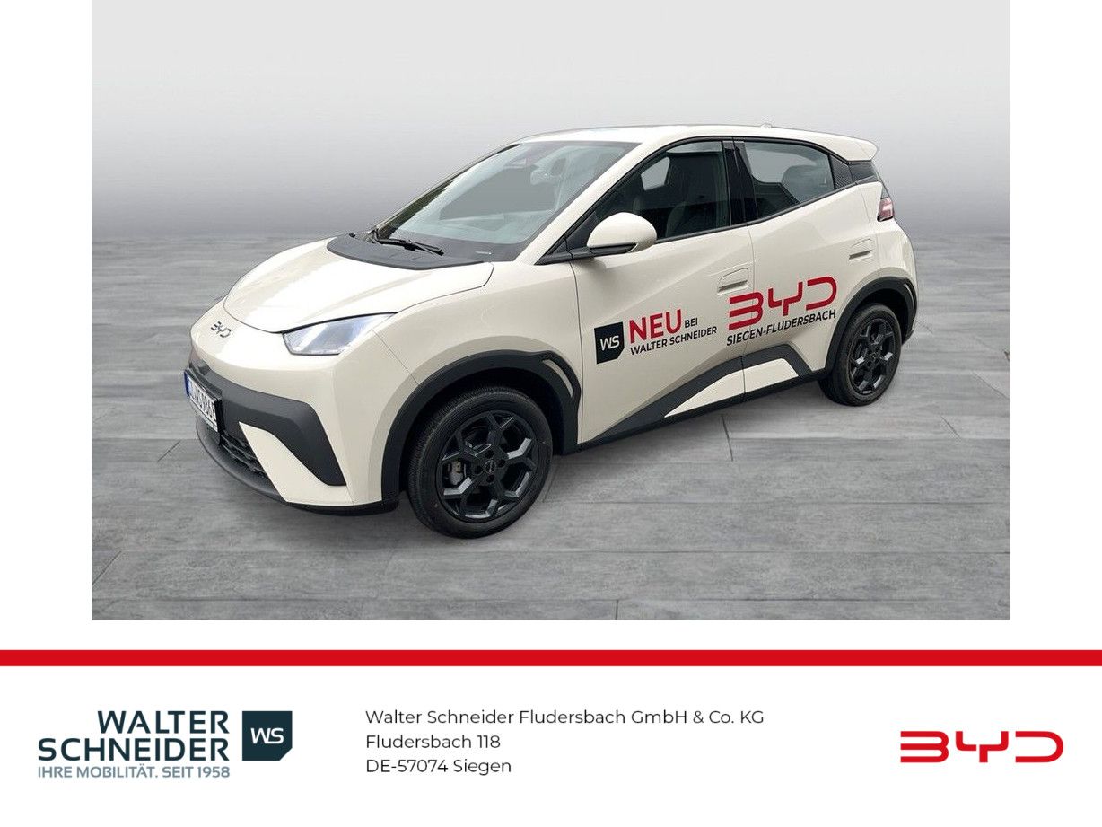 BYD DOLPHIN SURF