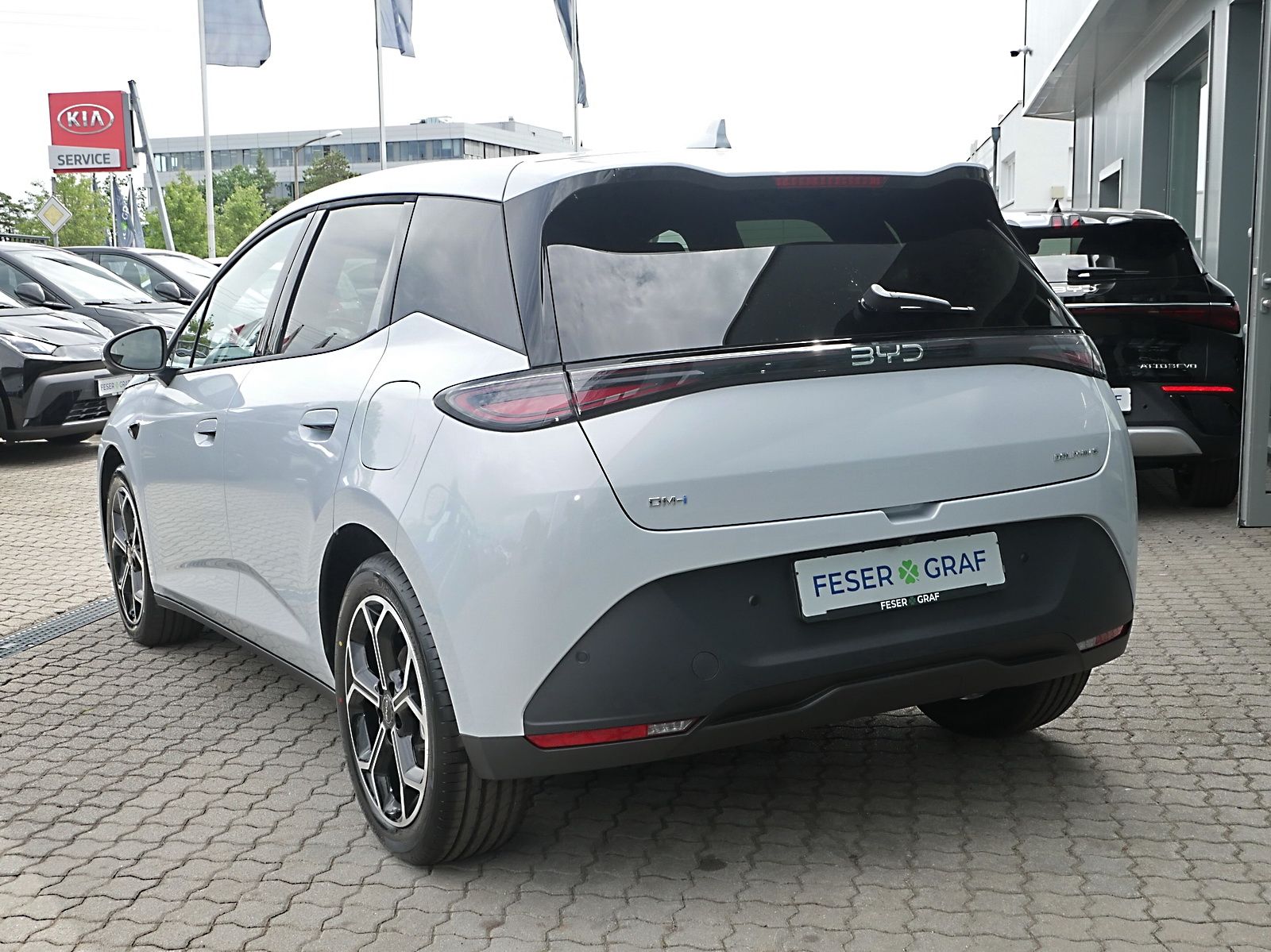 BYD DOLPHIN
