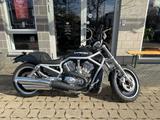 Harley-Davidson VRSCA V-ROD  - HARLEY-DAVIDSON V ROD VRSCA