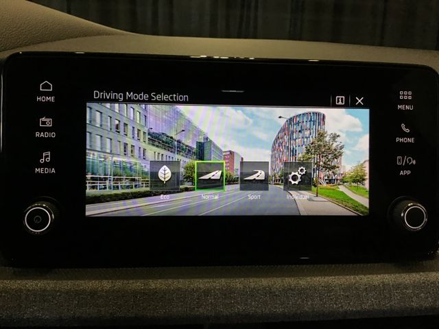 Fahrzeugabbildung Skoda Kamiq Selection 1.0 TSI DSG/Kamera/SHZ/SmartLink