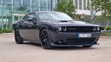 Dodge Challenger 6.4 SCAT PACK 392 - graue Dodge Challenger