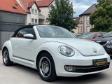 Volkswagen Beetle Cabriolet Cup *AUTOMATIK*PDC*60'S LOOK - Volkswagen Beetle: Auto