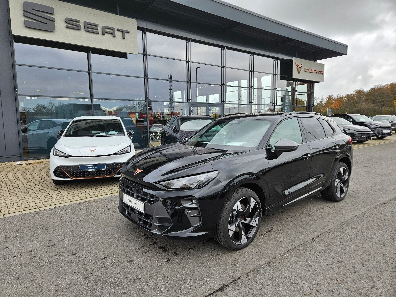 Cupra Terramar - Bild 2