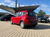 Fiat Panda Neues Modell 1.0 *5 Sitzer Klima PDC DAB* - Fiat Panda Vorführfahrzeuge