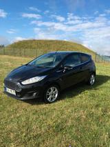 Ford Fiesta 1,5 TDCi 70kW Trend  - Ford Fiesta Trend mit Diesel-Antrieb